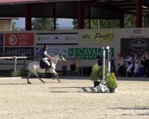 Reitturnier Dompierre 2022