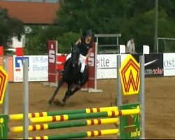 jumper Forca (Hanoverian, 2000, from Farian)