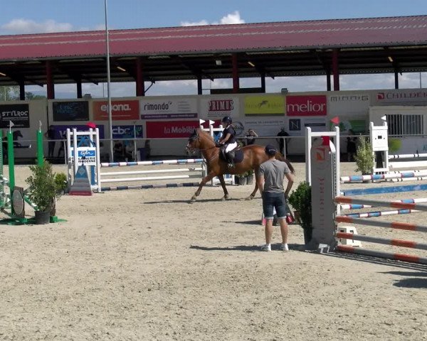 Reitturnier Dompierre 2022