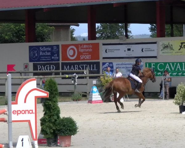 Reitturnier Dompierre 2022