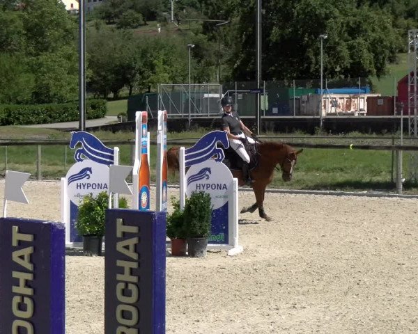 Reitturnier Dompierre 2022