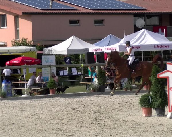 Reitturnier Dompierre 2022