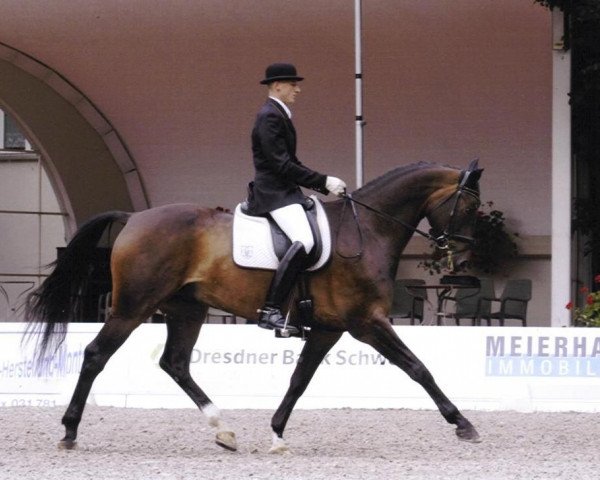 Pferd Santano (Schweizer Warmblut, 1999, von Sacrato)