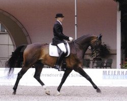 horse Santano (Schweizer Warmblut, 1999, from Sacrato)