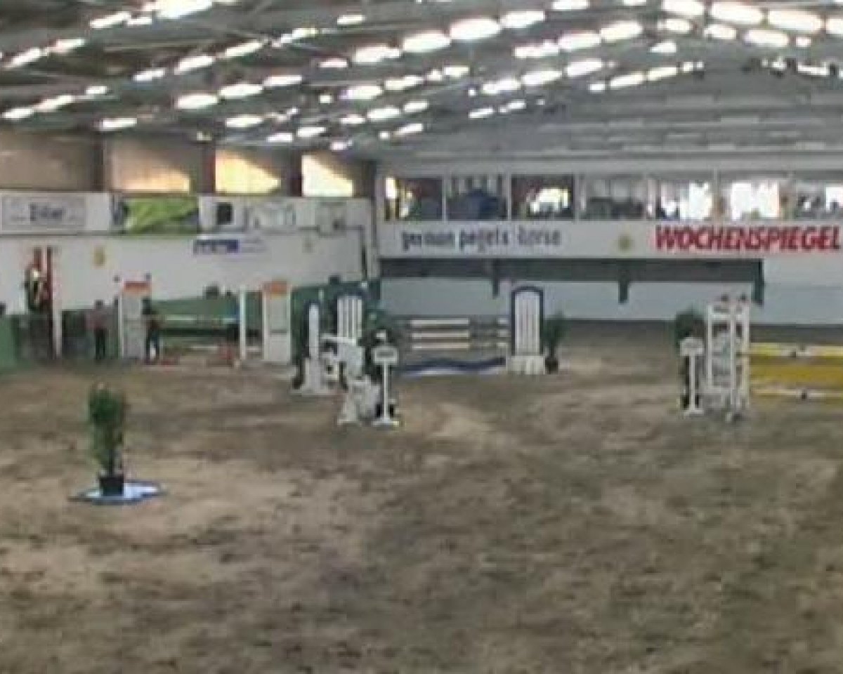 dressage horse Roschi (unknown,  )