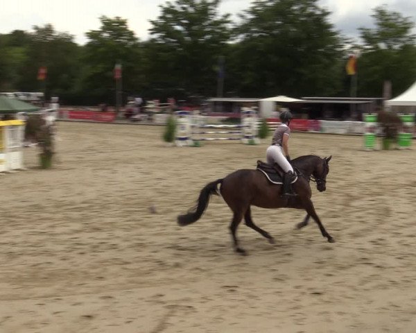 Reitturnier Münster-Albachten 2022