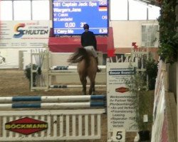 jumper Captain Jack Sparrow 30 (Oldenburg show jumper, 2007, from Catoki)