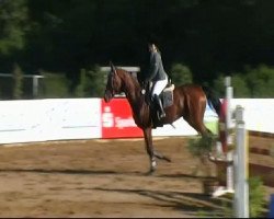 jumper Farah Diva 11 (Bavarian, 2006, from Royaldik)