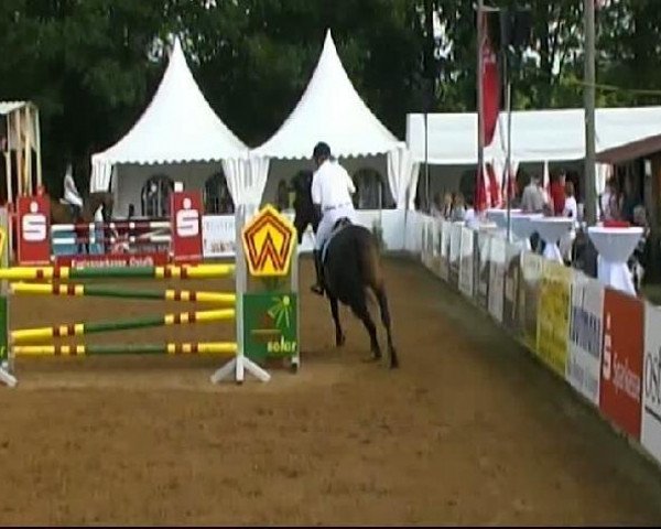 Springpferd Luwi (Holsteiner, 1997, von Contender)