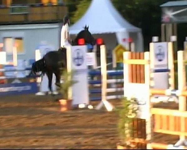 jumper Ribana (Zweibrücken, 2005, from Rosenzauberer)