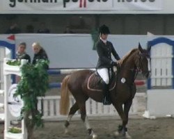 jumper Lady Sunshine 52 (German Riding Pony, 2002, from Celebration)