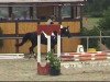 dressage horse Tessy (German Riding Pony, 1995)