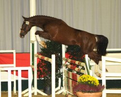 jumper Floyd Webber (Hanoverian, 2007, from For Pleasure)