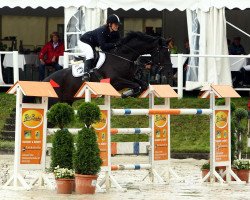 jumper En Rico (Hanoverian, 2003, from Escudo I)