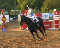 dressage horse Whoopy 46 (Bavarian, 1996, from Piaster)