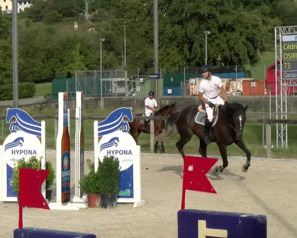 Reitturnier Dompierre 2022
