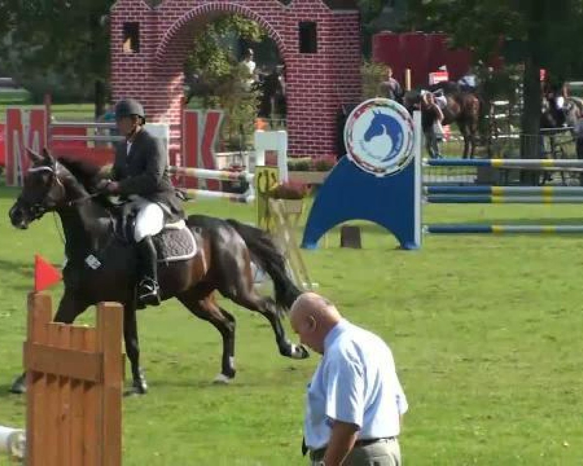 Springpferd Cooper 68 (Hannoveraner, 2002, von Contendro I)