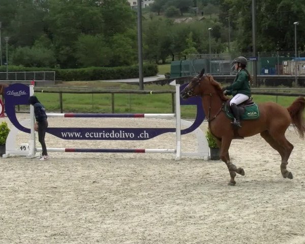 Reitturnier Dompierre 2022