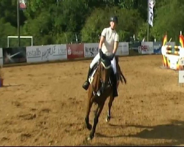 jumper Look at me 41 (Mecklenburg, 2003, from Licanto)