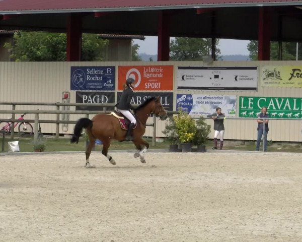 Reitturnier Dompierre 2022