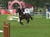 jumper Latos 20 (Hanoverian, 2001, from Laptop)