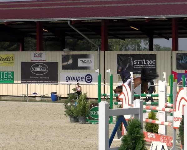 Reitturnier Dompierre 2022