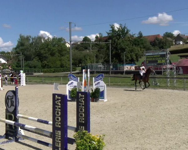 Reitturnier Dompierre 2022