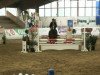 jumper Jackpot VI (Oldenburg show jumper, 2008)