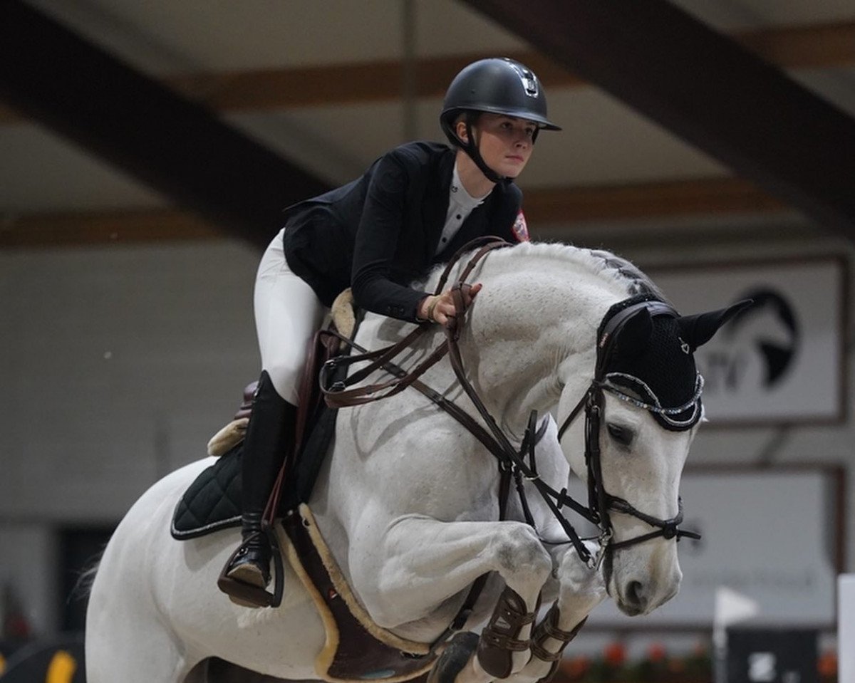 jumper Islonzo van 't Heike (Belgian Warmblood, 2008, from Egrando van 't Heike)