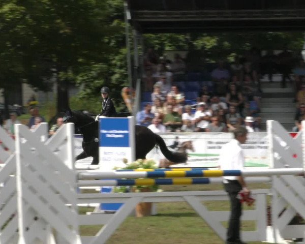 Reitturnier Aschersleben 2022