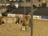 jumper For Max (Hanoverian, 2003, from For Keeps)