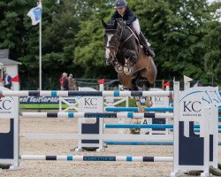 jumper Erik (KWPN (Royal Dutch Sporthorse), 2009, from Tangelo van de Zuuthoeve)