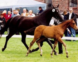 broodmare La Monserat (Rhinelander, 1998, from Lanciano)