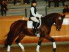 dressage horse Dancing Queen 113 (Rhinelander, 2004, from Donquestador)