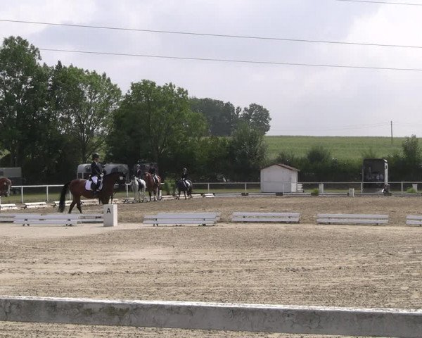Reitturnier Menden 2022