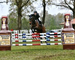 jumper Riverside Lady (Hanoverian, 2003, from Rosentau)