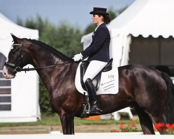 dressage horse Lord Tomason (Westphalian, 2005, from Lissabon 29)