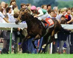 stallion Dancing Brave xx (Thoroughbred, 1983, from Lyphard xx)