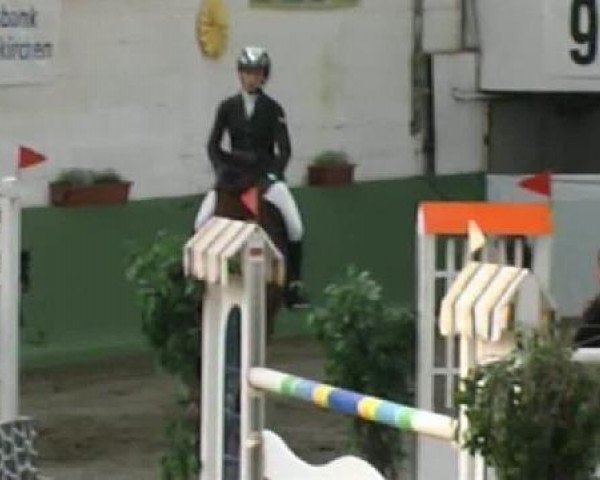 jumper Seven Up 23 (Luxembourg horse, 1996)