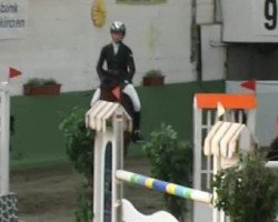 jumper Seven Up 23 (Luxembourg horse, 1996)