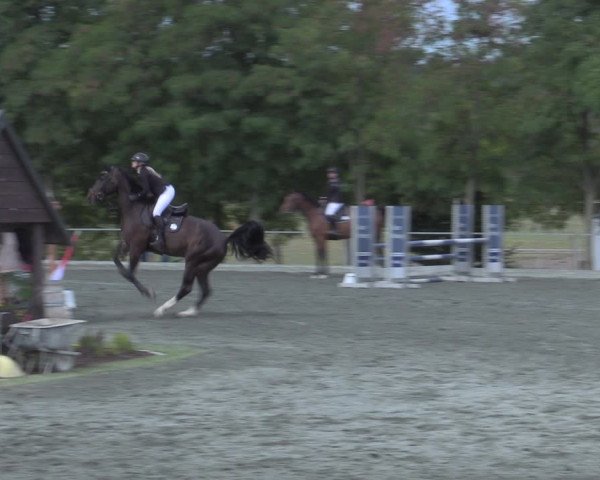 Reitturnier Horitschon 2022