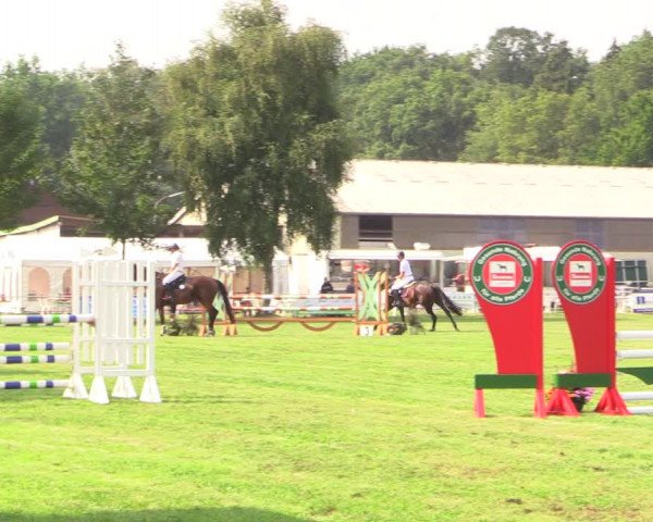 Reitturnier Kellinghusen 2022