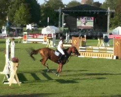 broodmare Mara B-H (German Riding Pony, 1993, from Marsvogel xx)