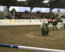 jumper Lord Petz (Oldenburg show jumper, 2006, from Lord Pezi)