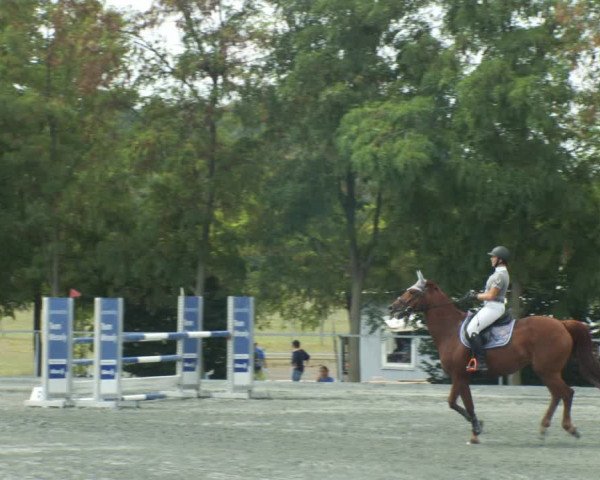 Reitturnier Horitschon 2022