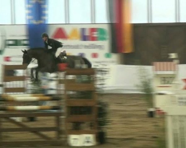 jumper Niels (KWPN (Royal Dutch Sporthorse), 2000)