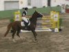 jumper Fit For Fun (Hanoverian, 2003, from For Keeps)