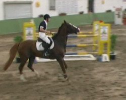 jumper Fit For Fun (Hanoverian, 2003, from For Keeps)