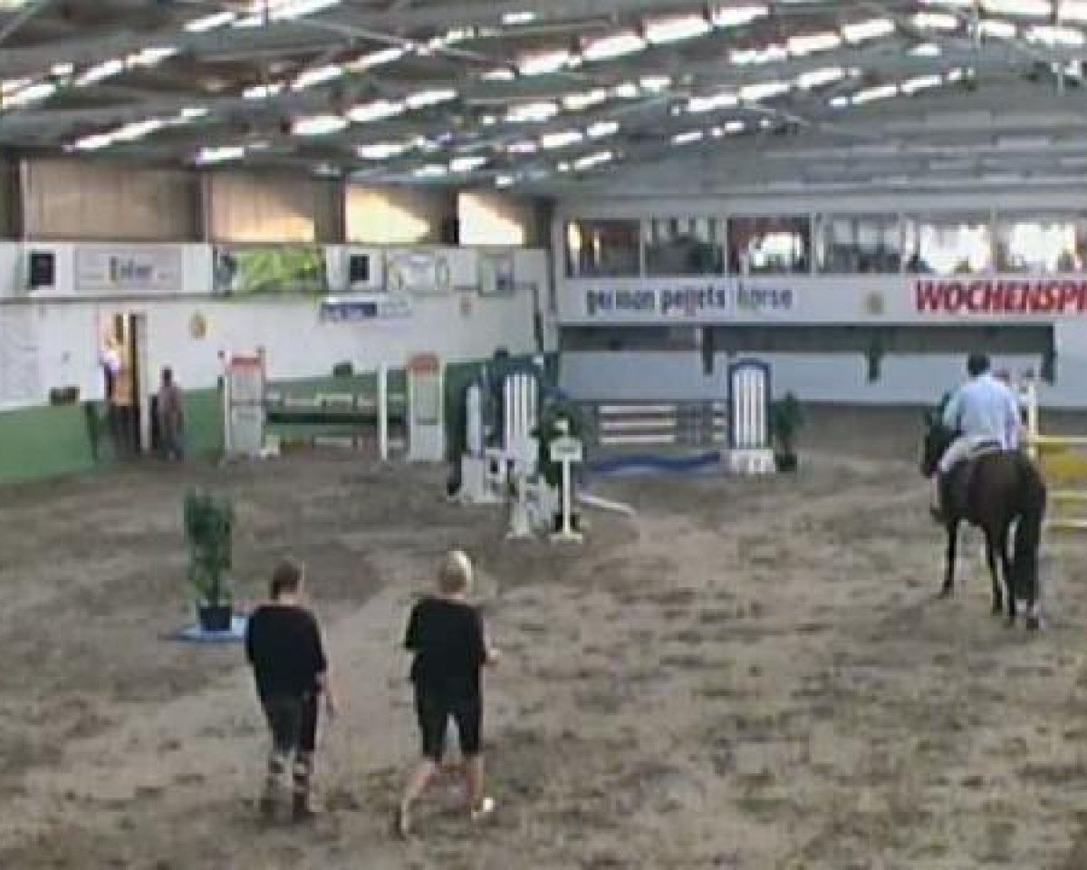 jumper Quick Magic 2 (Holsteiner, 2004, from Quidam's Rubin)