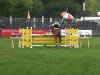 jumper Loki 77 (German Sport Horse, 2005, from Landrebell)